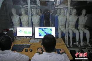 性视频国产,性视频领域的创新与突破